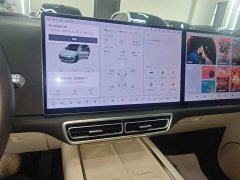 Li Auto L6 Max Smart Refresh Edition - ფოტო 13