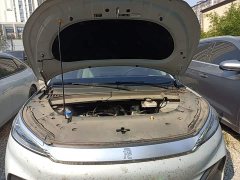 BYD Yuan Plus Glory Edition 510KM Leading - ფოტო 20