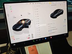 Tesla Model 3 Rear-Wheel Drive - ფოტო 13