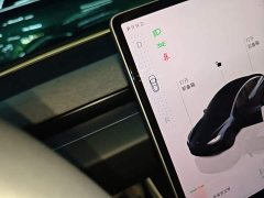 Tesla Model 3 Rear-Wheel Drive - ფოტო 14