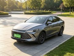 BYD Qin PLUS DM-i Smart Drive Edition 55KM Leading - ფოტო 1