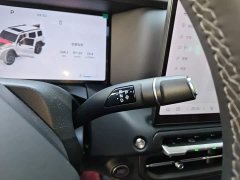 Tank 300 2025 2.0T Gasoline Challenger - ფოტო 14