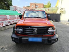 Tank 300 2025 2.0T Gasoline Challenger - ფოტო 3