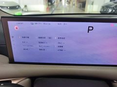 IM Motors Zhiji L6 Max - ფოტო 12