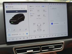 Li Auto L9 Pro - ფოტო 8