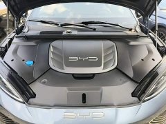 BYD Dolphin 700km Long Range Rear-Wheel Drive - ფოტო 20