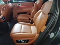 Li Auto L9 Max - ფოტო 17
