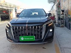 FAW Red Flag HS3 PHEV 117km Dynamic Edition - ფოტო 3