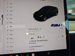 Tesla Model Y Standard Range RWD - ფოტო 12