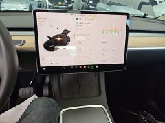 Tesla Model Y Standard Range RWD - ფოტო 13