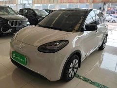 Wuling Binguo 333km Joy Edition - ფოტო 1