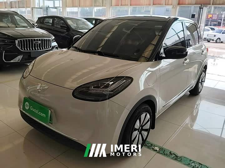Wuling Binguo 333km Joy Edition