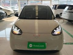 Wuling Binguo 333km Joy Edition - ფოტო 3
