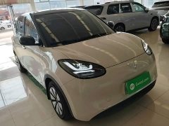 Wuling Binguo 333km Joy Edition - ფოტო 4