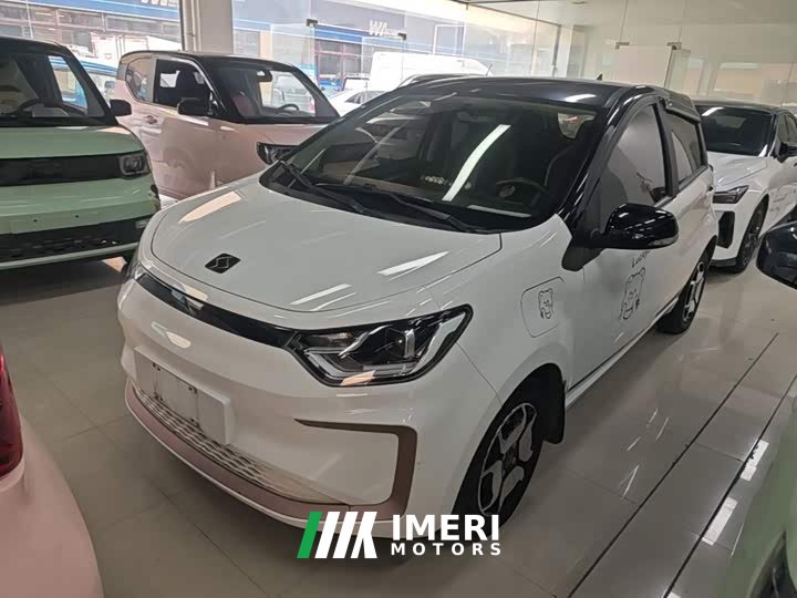 Flower Fairy 302km Luxury 31.4kWh