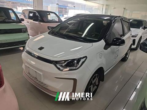 2021 JAC 302km Luxury 31.4kWh