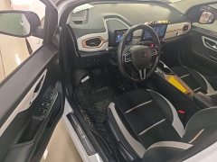 Flower Fairy 302km Luxury 31.4kWh - ფოტო 16