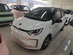 Flower Fairy 302km Luxury 31.4kWh - ფოტო 2