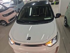 Flower Fairy 302km Luxury 31.4kWh - ფოტო 3