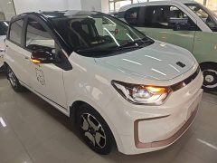 Flower Fairy 302km Luxury 31.4kWh - ფოტო 4