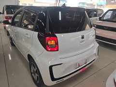 Flower Fairy 302km Luxury 31.4kWh - ფოტო 5