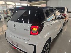Flower Fairy 302km Luxury 31.4kWh - ფოტო 7