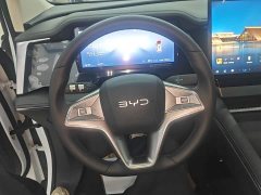BYD M9 2025 1060 Pilot Edition - ფოტო 11