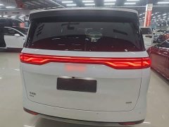 BYD M9 2025 1060 Pilot Edition - ფოტო 6