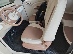 FAW Besturn Xiaoma 2026 222km Shining Edition - ფოტო 15