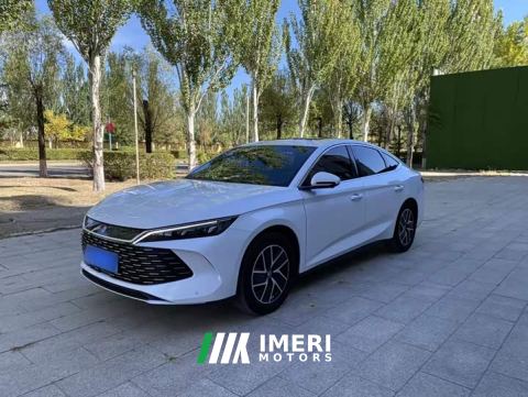 2024 BYD Qin L DM-i 120KM Excellence
