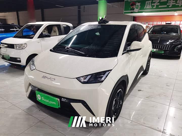 BYD Seagull 2023 Freedom Edition - ავტომობილი ჩინეთიდან