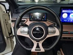 BYD Seagull 2023 Freedom Edition - ფოტო 11