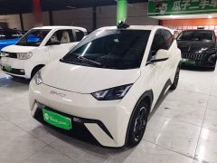 BYD Seagull 2023 Freedom Edition - ფოტო 2