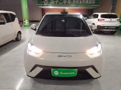 BYD Seagull 2023 Freedom Edition - ფოტო 3