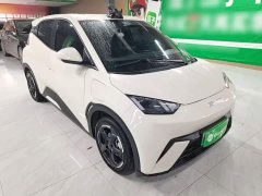 BYD Seagull 2023 Freedom Edition - ფოტო 4