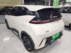 BYD Seagull 2023 Freedom Edition - ფოტო 5