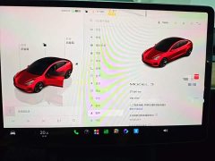 Tesla Model 3 Rear-Wheel Drive - ფოტო 12