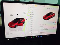 Tesla Model 3 Rear-Wheel Drive - ფოტო 13