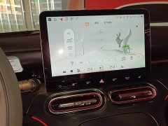 smart #1 BRABUS Performance Edition - ფოტო 13