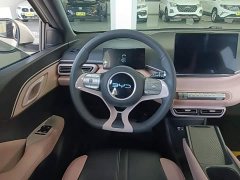 BYD Seagull 305km Vitality Edition - ფოტო 11