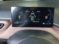 BYD Seagull 305km Vitality Edition - ფოტო 12
