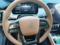 BYD Song L EV 550km Excellence Edition - ფოტო 11