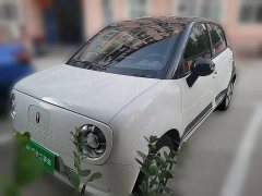 ORA Black Cat 301km Cute Pet Edition LFP Battery - ფოტო 1