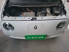 ORA Black Cat 301km Cute Pet Edition LFP Battery - ფოტო 11