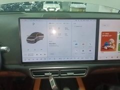 Li Auto L6 Pro - ფოტო 13