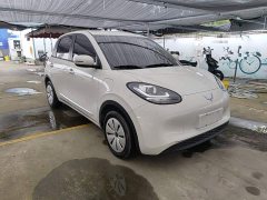 Wuling Binguo 203km Light Enjoy Edition - ფოტო 4