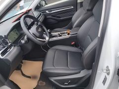Geely Emgrand 2026 4 Million Commemorative Edition 1.5L CVT Flying Edition - ფოტო 15