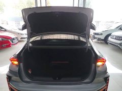 Trumpchi Leopard 400T Automatic R MAX - ფოტო 19