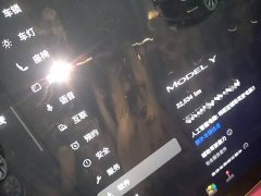 Tesla Model Y 2022 Facelift Rear-Wheel Drive - ფოტო 12