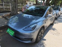 Tesla Model Y Rear-Wheel Drive - ფოტო 2